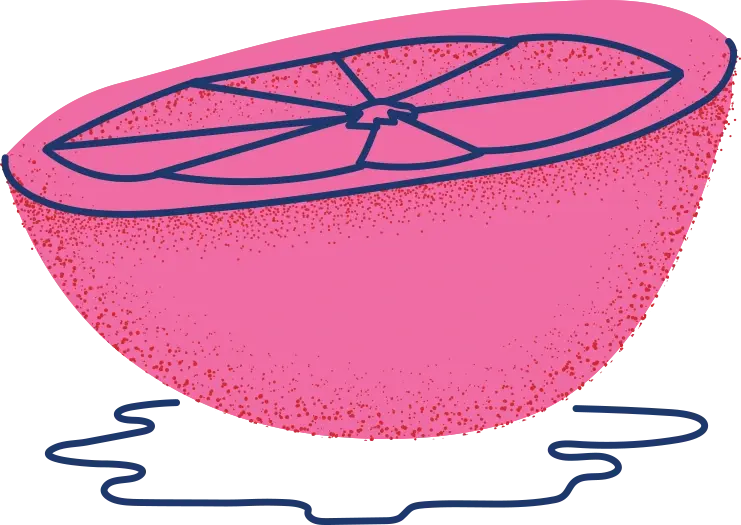 Illustration of grapefruit