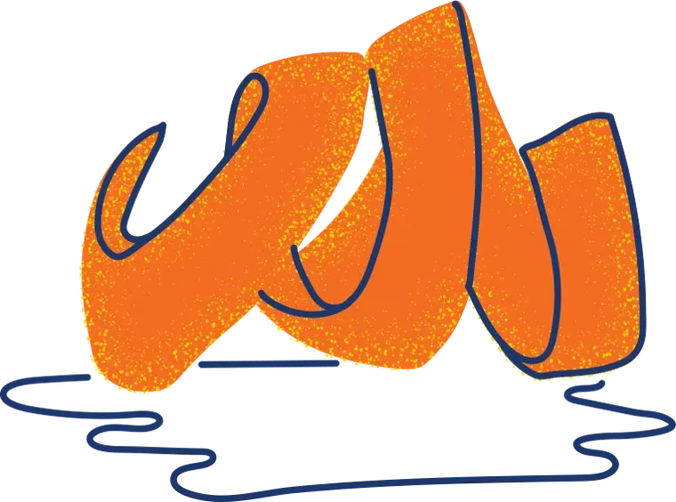 Illustration of orange